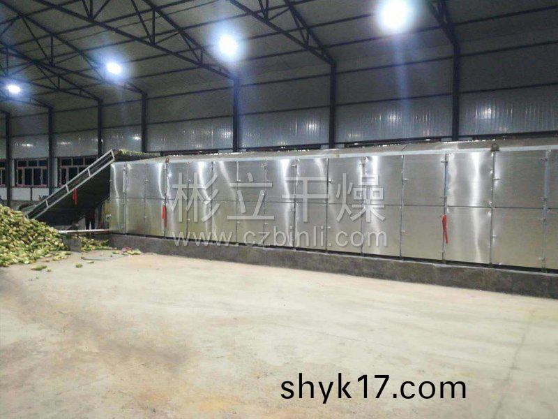 脫水蔬菜帶式榦燥機